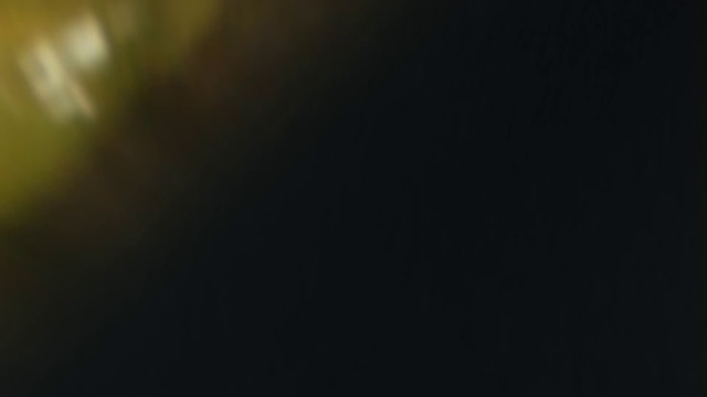 Video Reference: Tints and shades, Electric blue, Event, Lens flare, Darkness, Twig, Wood, Pattern, Midnight, Font