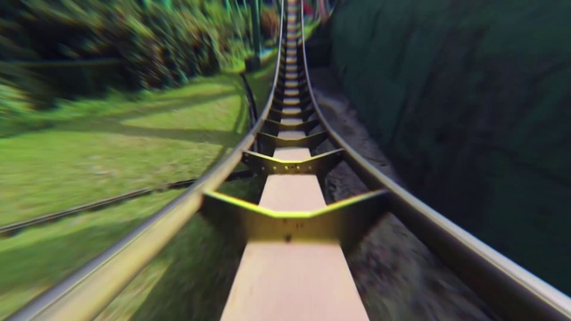 Video Reference: Terrestrial plant, Grass, Bridge, Leisure, Tints and shades, Symmetry, Tree, Landscape, Pattern, Road