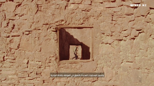 Video Reference: Brown, Brick, Font, Wall, Rectangle, Landscape, Stone wall, Wood, Archaeological site, Facade