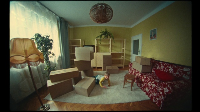 Video Reference: Furniture, Picture frame, Couch, Plant, Building, Lighting, Interior design, Chair, Table, Wood