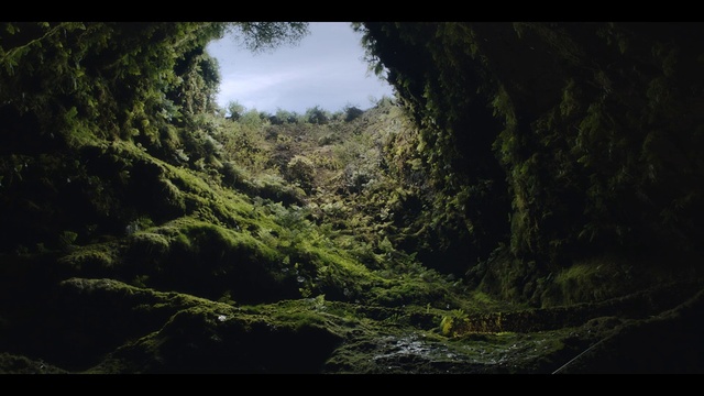 Video Reference: Sky, Cloud, Plant, Atmosphere, Ecoregion, Natural landscape, Branch, Wood, Terrestrial plant, Sunlight