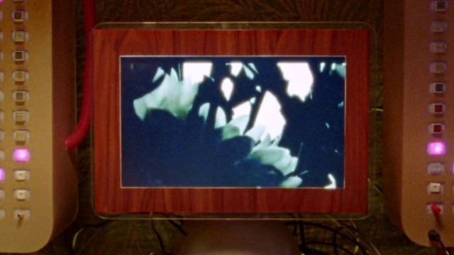 Video Reference: Picture frame, Plant, Rectangle, Leaf, Organism, Wood, World, Art, Paint, Tints and shades
