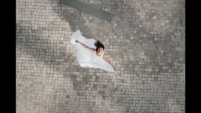 Video Reference: Flash photography, Plant, Grey, Happy, Flooring, Brick, Brickwork, Tree, Concrete, Elbow