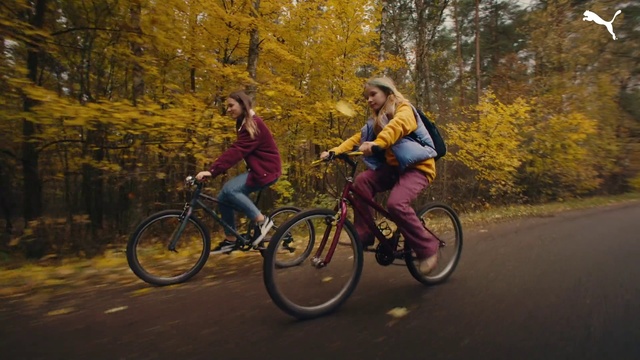 Video Reference: Bicycle, Tire, Wheel, Bicycles--Equipment and supplies, Plant, Bicycle frame, Bicycle tire, Bicycle handlebar, Vehicle, Sports equipment