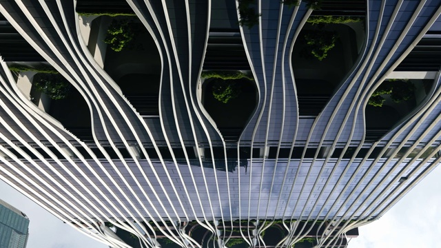 Video Reference: White, Light, Line, Pattern, Symmetry, Art, Tints and shades, Rectangle, Terrestrial plant, Electric blue