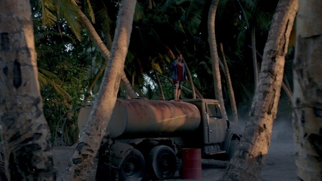 Video Reference: Plant, Wood, Automotive tire, Vehicle, Tree, Trunk, Terrestrial plant, Arecales, Gas, Forest