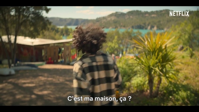 Video Reference: Vertebrate, People in nature, Flash photography, Happy, Tartan, Travel, Grass, Terrestrial plant, Tree, Adaptation