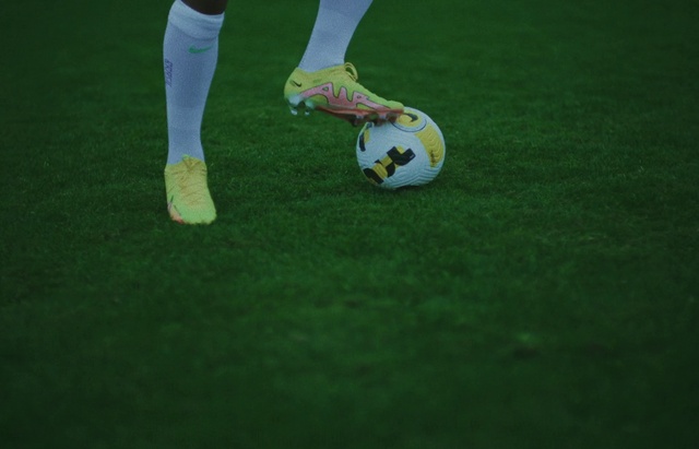 Video Reference: Sports uniform, Sports equipment, Shorts, Football, Leg, Green, Plant, Soccer, Sports gear, Player