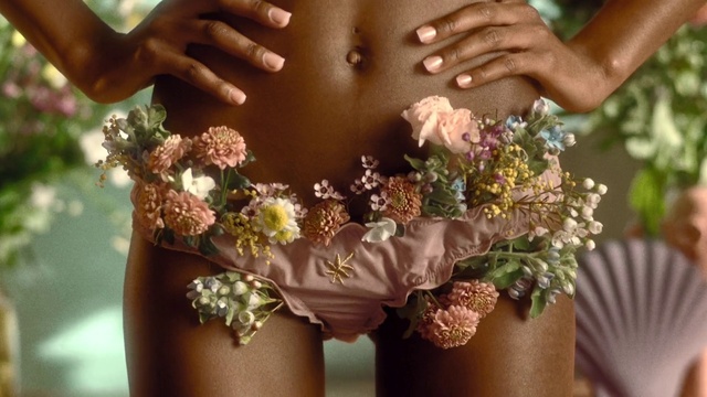 Video Reference: Plant, Hand, Flower, Photograph, Flowerpot, Green, Houseplant, Fashion, Botany, People in nature