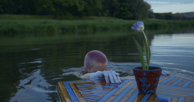 Video Reference: Water, Flower, Plant, Nature, Blue, Botany, Flowerpot, Grass, Lake, Baby