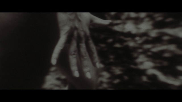 Video Reference: Jaw, Gesture, Wood, Font, Human leg, Darkness, Monochrome photography, Event, Visual arts, Twig