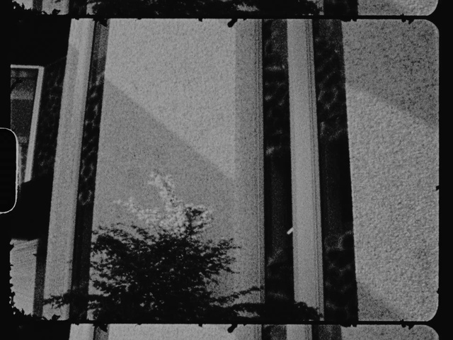 Video Reference: White, Plant, Black, Black-and-white, Rectangle, Window, Grey, Style, Water, Material property