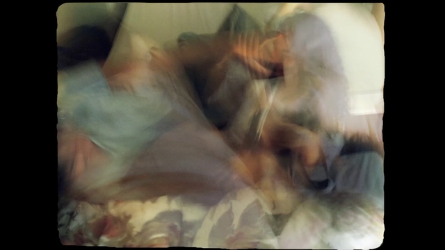 Video Reference: Organism, Tints and shades, Rectangle, Art, Electronic device, Visual arts, Display device, Room, Petal, Fur