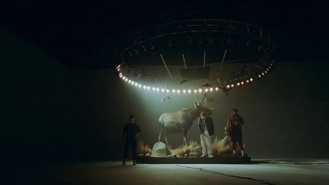 Video Reference: Vertebrate, Lighting, World, Mammal, Entertainment, Art, Sky, Performing arts, Sculpture, Event