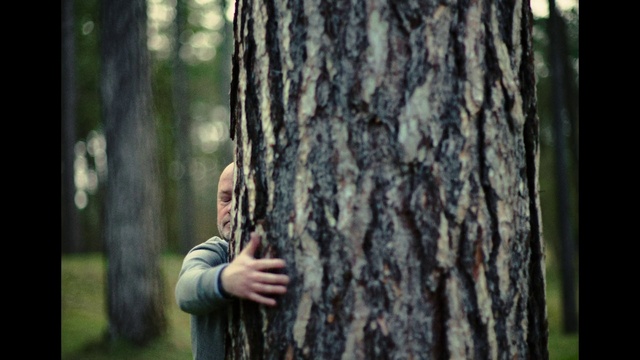 Video Reference: People in nature, Plant, Wood, Trunk, Happy, Flash photography, Grass, Forest, Twig, Tree