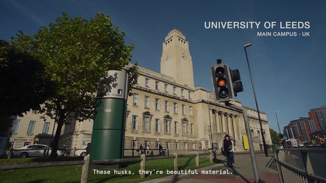 Video Reference: Sky, Building, Window, Plant, Tree, Tower, Urban design, Landmark, Facade, Street light