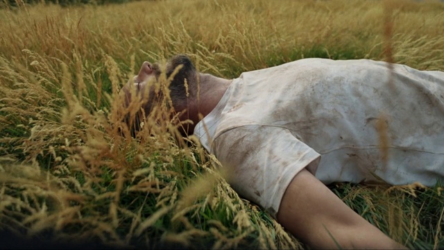 Video Reference: Hand, Shirt, Ecoregion, Plant, Vertebrate, People in nature, Sunglasses, Dress, Mammal, Grass