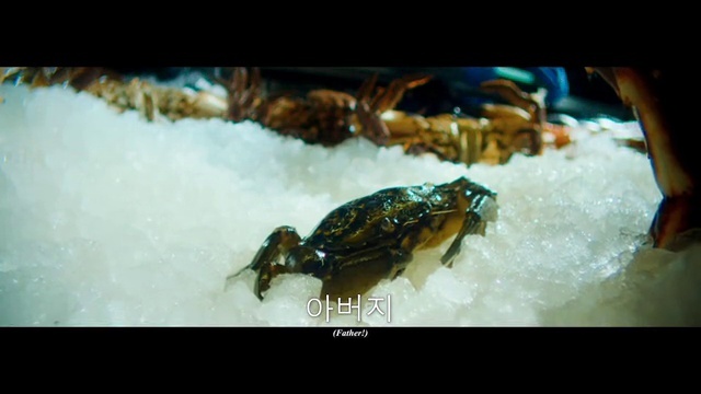 Video Reference: Arthropod, Insect, Organism, Terrestrial animal, Decapoda, Adaptation, Reptile, Pest, Seafood, Amphibian