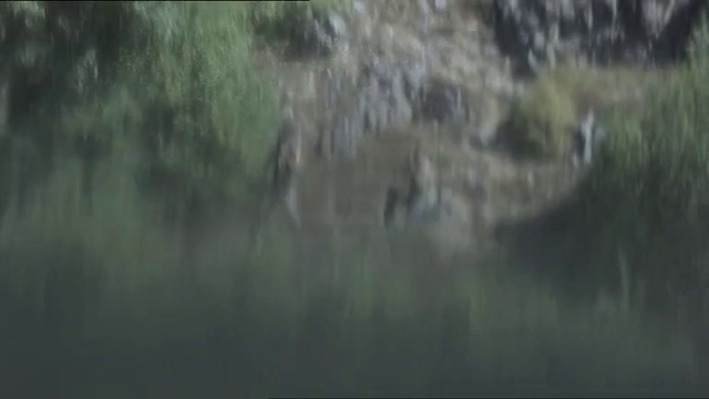 Video Reference: Atmosphere, Twig, Natural landscape, Sky, Wood, Grass, Plant, Landscape, Grassland, Darkness