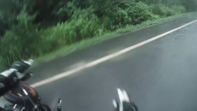 Video Reference: Automotive lighting, Automotive tire, Light, Plant, Motor vehicle, Automotive mirror, Automotive exterior, Road surface, Asphalt, Automotive design