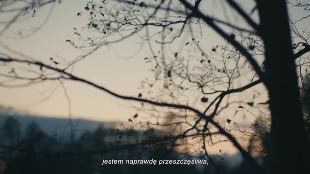 Video Reference: Sky, Atmosphere, Natural landscape, Wood, Twig, World, Trunk, Landscape, Grass, Horizon