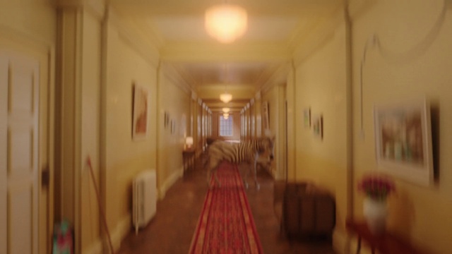 Video Reference: Building, Picture frame, Fixture, Wood, Door, Flooring, Ceiling, Symmetry, Hall, Hardwood