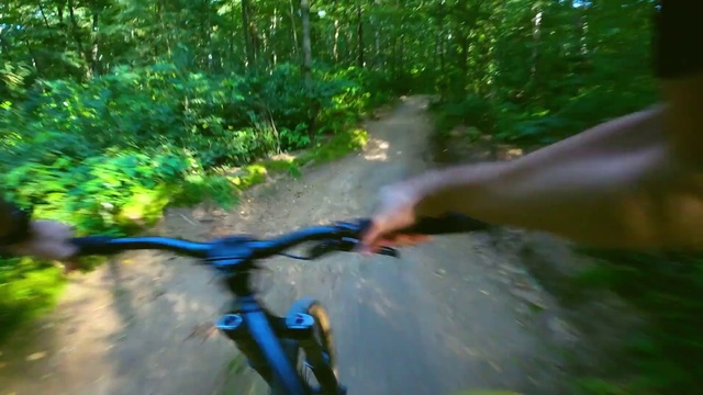 Video Reference: Bicycle, Plant, Plant community, Bicycle tire, Tire, Bicycles--Equipment and supplies, Vehicle, Bicycle handlebar, Bicycle frame, Sunlight