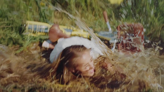 Video Reference: Plant, Natural landscape, People in nature, Wood, Grass, Happy, Grass family, Landscape, Forest, Grassland