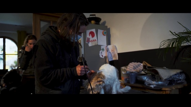 Video Reference: Entertainment, Event, Fun, Fur, Conversation, Room, Drink, Performance, Sitting, Visual arts