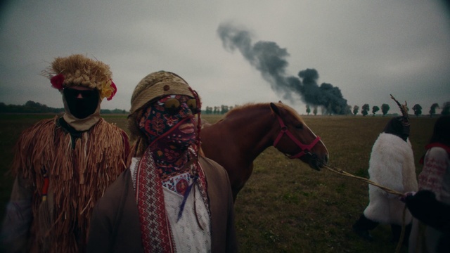Video Reference: Horse, Sky, Cloud, Working animal, Grassland, Landscape, Happy, Bridle, Horse tack, Grass