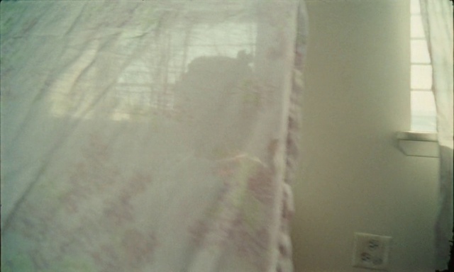 Video Reference: Window, Wood, Building, Textile, Flooring, Floor, Atmospheric phenomenon, Hardwood, Shade, Tints and shades