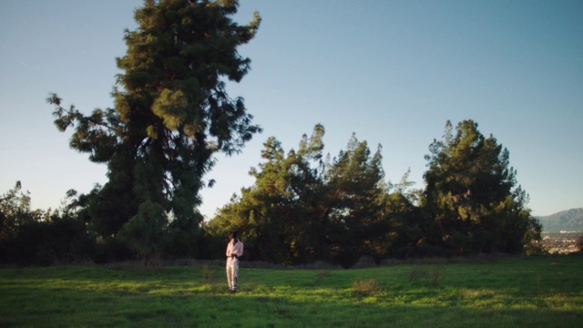 Video Reference: Sky, Plant, Cloud, Natural landscape, Branch, People in nature, Tree, Grass, Landscape, Plain