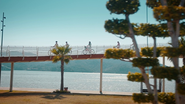 Video Reference: Water, Sky, Plant, Arecales, Shade, Leisure, Tree, Lake, Woody plant, Beach