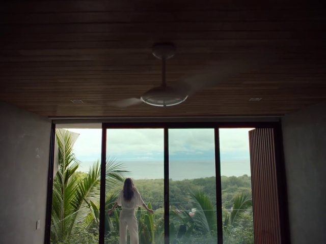 Video Reference: Plant, Window, Wood, Dress, Shade, Building, Lighting, House, Fixture, Sky
