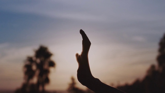 Video Reference: Sky, Hand, Cloud, Atmosphere, People in nature, Branch, Gesture, Dusk, Happy, Sunset