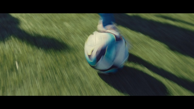 Video Reference: Grass, Flooring, Electric blue, Soccer ball, Human leg, Ball, Wood, Toy, Wing, Operating system