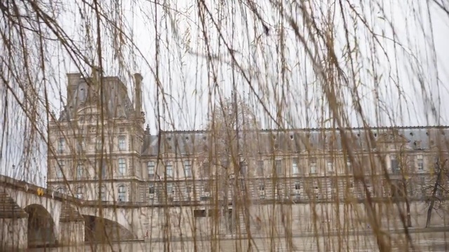 Video Reference: Sky, Twig, Wood, Trunk, Building, Window, Grass, Facade, Winter, Tree