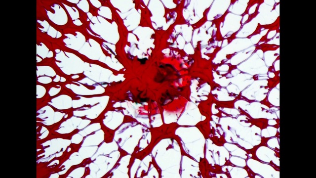 Video Reference: Font, Rectangle, Art, Tints and shades, Pattern, Visual arts, Carmine, Magenta, Symmetry, Creative arts