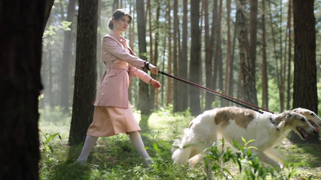 Video Reference: Dog, Plant, Dog breed, Carnivore, Tree, People in nature, Fawn, Companion dog, Grass, Forest