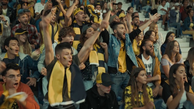 Video Reference: Yellow, Gesture, Fan, T-shirt, Leisure, Competition event, Event, Crowd, Championship, Team
