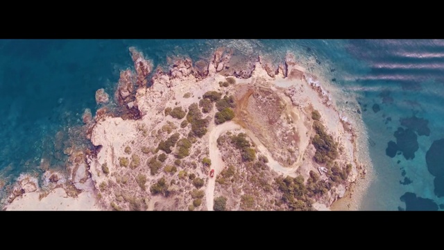 Video Reference: Water, Vertebrate, Natural environment, Organism, Underwater, Coastal and oceanic landforms, Marine invertebrates, Marine biology, Coral, Reef