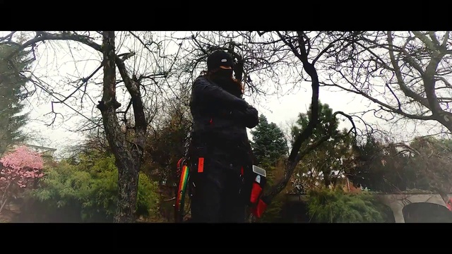Video Reference: Plant, Tree, Helmet, Sky, People in nature, Flash photography, Grass, Tints and shades, Trunk, Forest