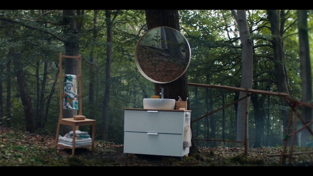 Video Reference: Plant, Tree, Motor vehicle, Wood, Wheel, Drawer, Grass, Leisure, Morning, Shade