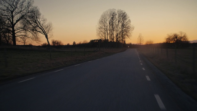 Video Reference: Sky, Atmosphere, Plant, Tree, Natural landscape, Branch, Road surface, Asphalt, Grass, Wood