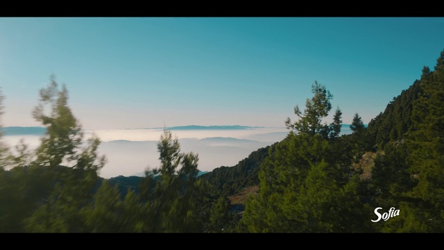 Video Reference: Sky, Cloud, Natural landscape, Tree, Mountain, Highland, Slope, Plant, Woody plant, Mountainous landforms
