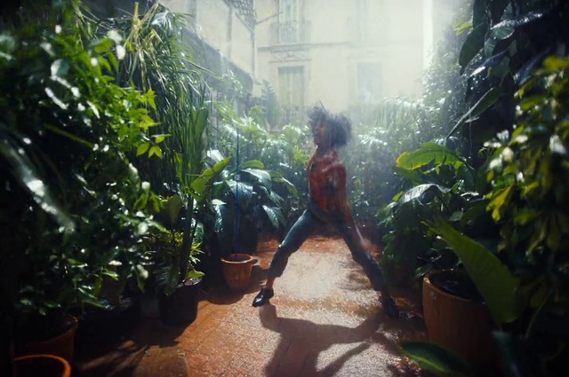 Video Reference: Plant, Flowerpot, Botany, Leaf, Houseplant, Vegetation, Sunlight, Terrestrial plant, Building, Tree