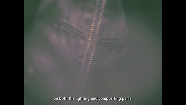 Video Reference: Terrestrial plant, Font, Tints and shades, Twig, Darkness, Electric blue, Event, Macro photography, Plant, Science