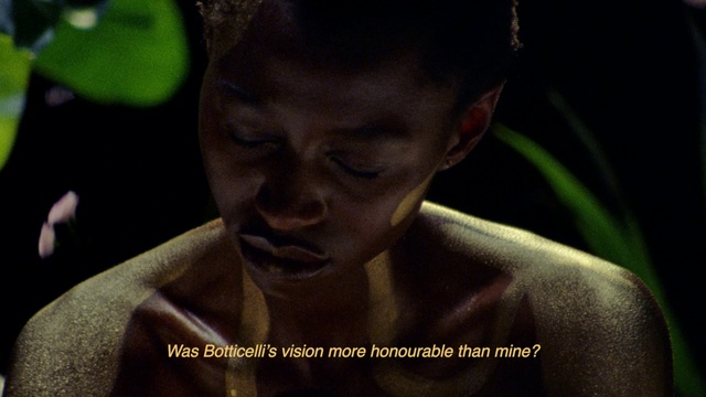 Video Reference: Nose, Flash photography, Ear, Eyelash, Happy, Darkness, Event, Jewellery, Photo caption, Flesh