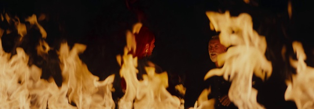 Video Reference: Wood, Fire, Plant, Petal, Heat, Bonfire, Event, Flame, Tree, Night