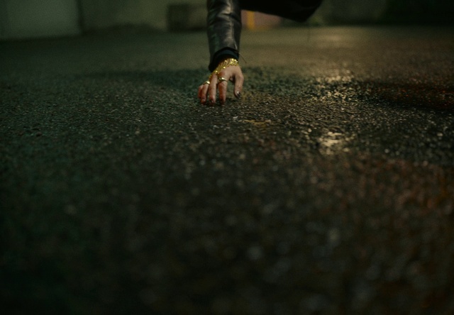 Video Reference: Leg, Road surface, Flash photography, Asphalt, Wood, Flooring, Floor, Grass, Tints and shades, Foot